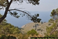 Majorque Vers Formentor 054